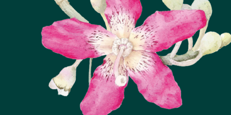 Imagem destacada sobre o post em questão.