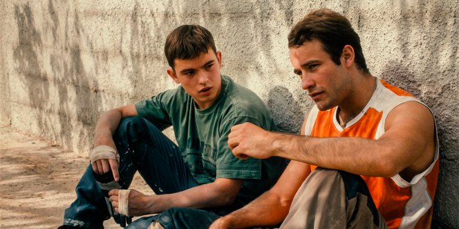 Enzo (Foto Divulgação)