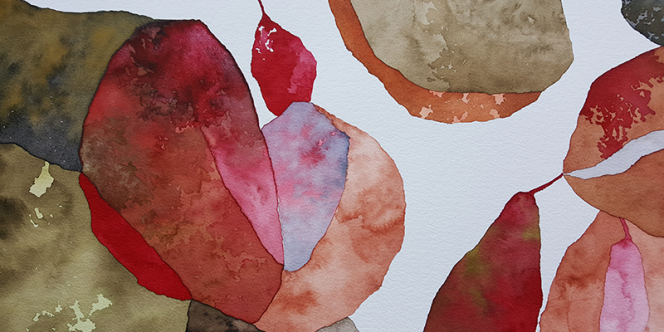 Foto: Fernanda Fernandes