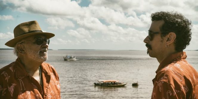 Foto: Fernanda Brito Gaia