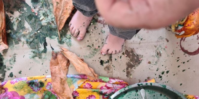 Natureza Moitará (foto: divulgação)