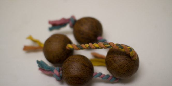 Confecção de Asalato. Foto: Naoharu. 