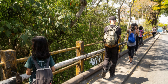 crédito: Lethicia Gallo