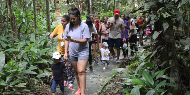 Trilha Ecológica Para Bebês - Foto Wagner Linares
