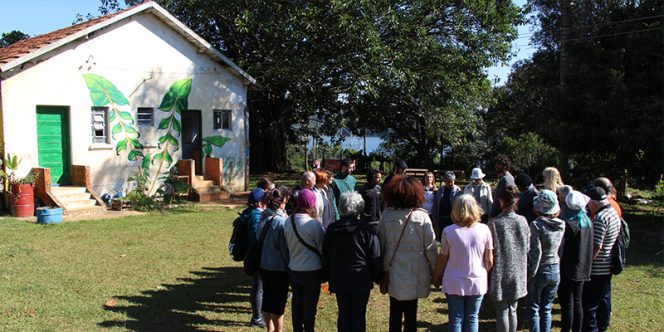 Foto: Dalmir Ribeiro Lima