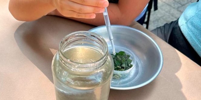 Cred: Instituto Caxanga 