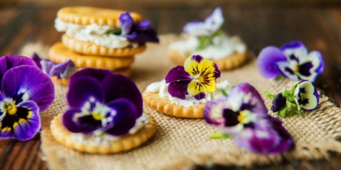 Flores Comestíveis - Divulgação