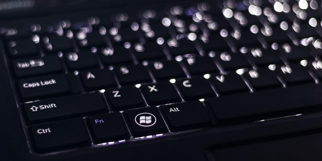 créd.: banco de imagens - pixabay.