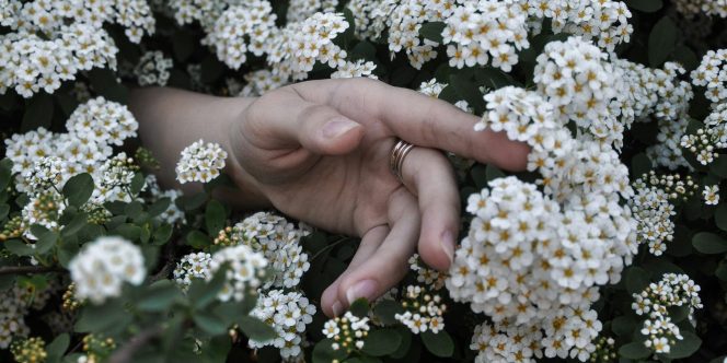 Ecologias e práticas de cuidado - divulgação