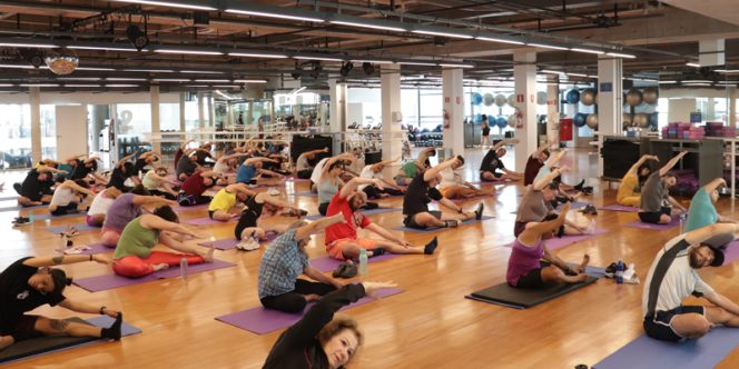 Cred: Bruna Marcatto