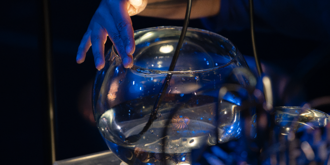 Cred: Alhasan Yousef