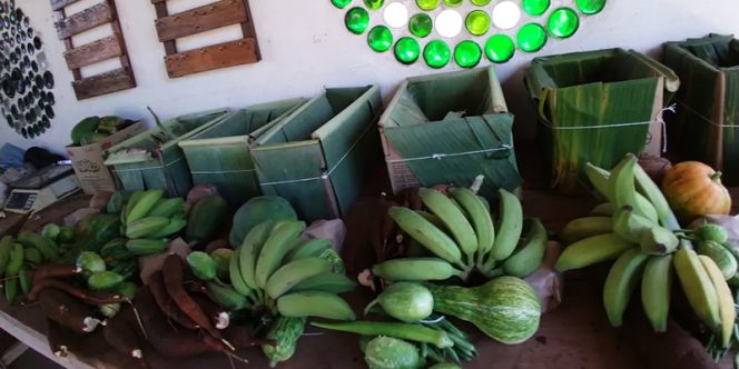 Oba! Bora passear! Comunidade Mãeã Natureza (foto divulgação)