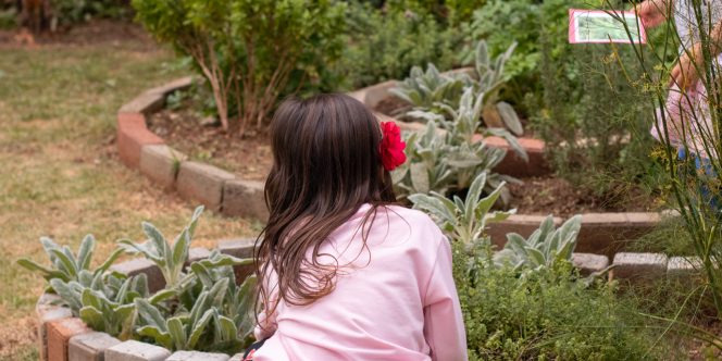 Criança jardineira - créd. Natt Fejfar