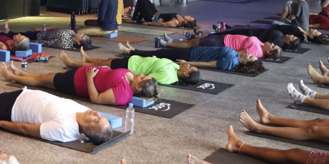 Foto: Stephany Tiveron