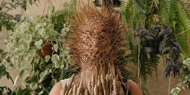 Foto de Daniel Argieri 