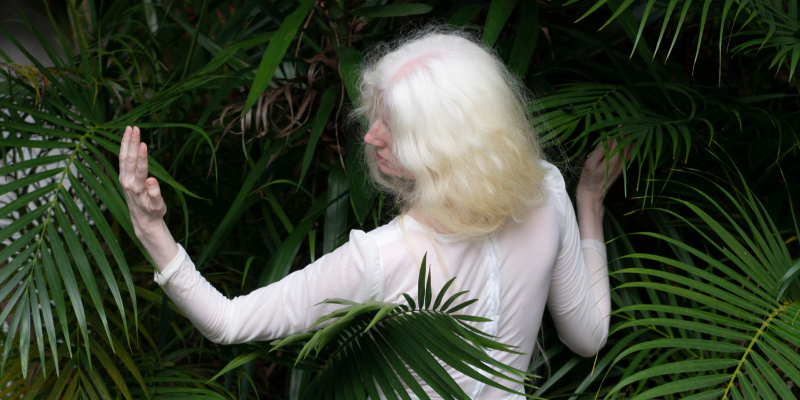 Imagem destacada sobre o post em questão.