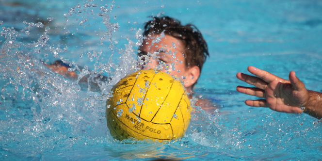 Foto: Matthias Lemm por Pixabay