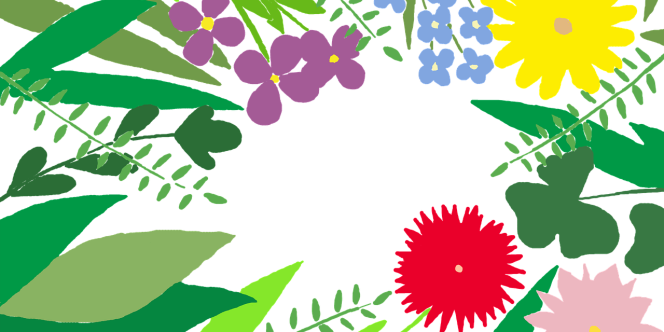 Imagem: Divulgação