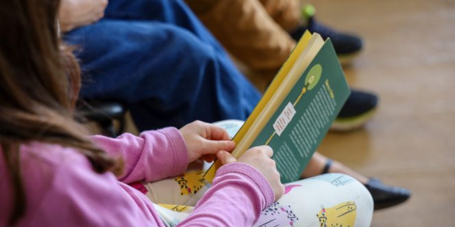 Foto: Pedro Henrique Gomide