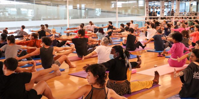 Cred: William Galvão