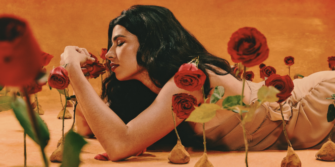 Cred: Bruna Sussekind