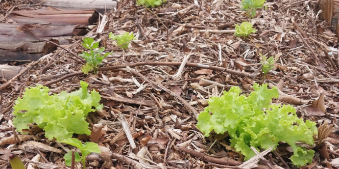 Foto: Flávia Franco