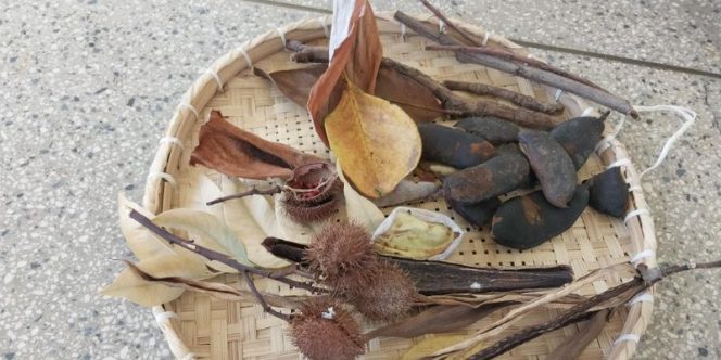 Foto: Flávia Franco