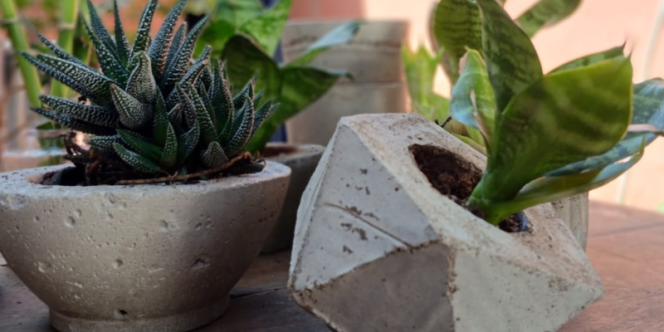 Foto: Casa de Projeto 