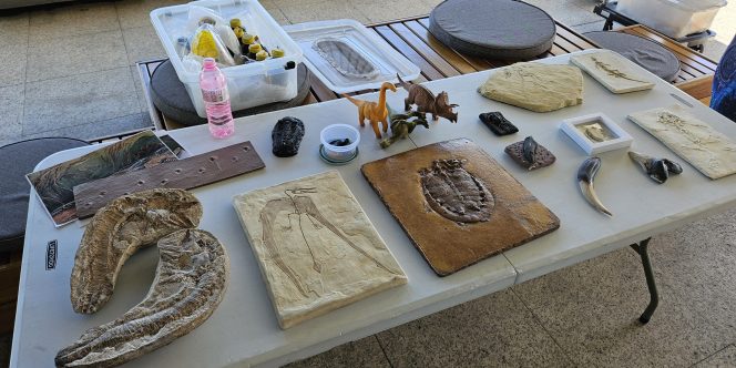 Fósseis e os animais pré_históricos _ Foto_Divulgação