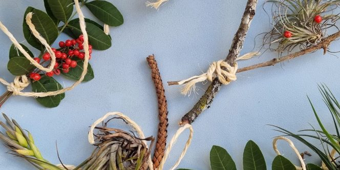 Oficina_Pie_Credito___Camila_Issagawa__(2)_2025-10-24-15-18-5