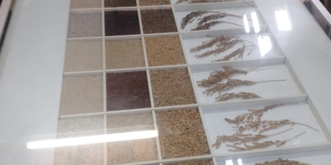 Da origem a mesa: arroz.