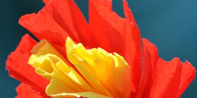 Construção de Brinquedo Aéreo - Barangandão