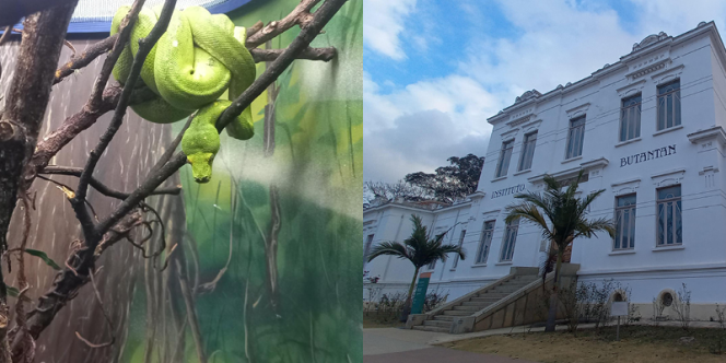 Fotos: Marcia Regina