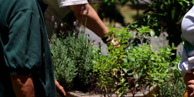 Foto: Cauê Botelho