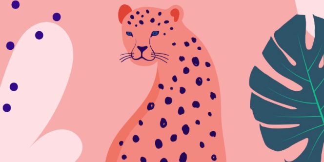 Que onça te mordeu | Divulgação