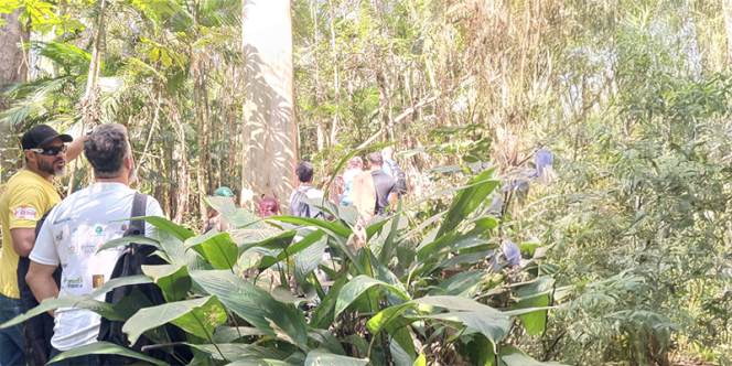 Foto: Zélia Madureira