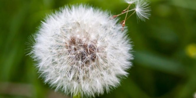 (Foto: Divulgação)