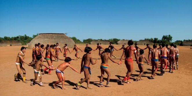 Foto: Haroldo Palo Jr.