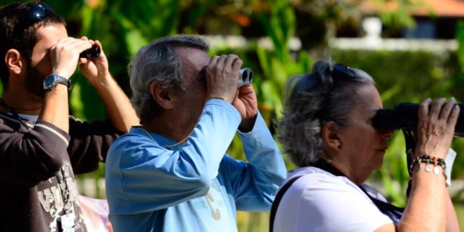 (Foto: Estevão Salomão)