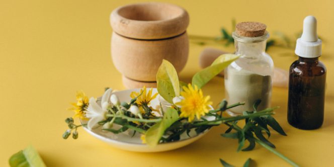 Plantas Nativas | Imagem Pexels por Voitkevich