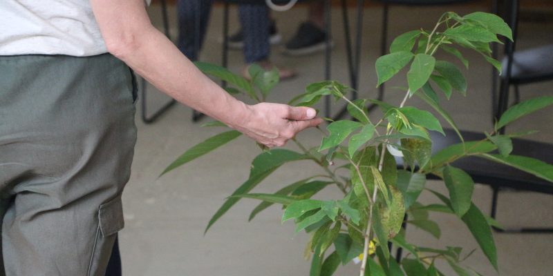 Imagem destacada sobre o post em questão.