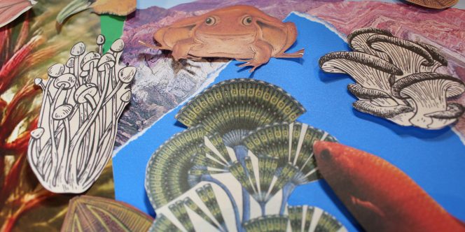 Foto: Andressa Nishiyama