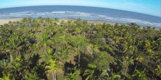 Foto: Júnior Castro