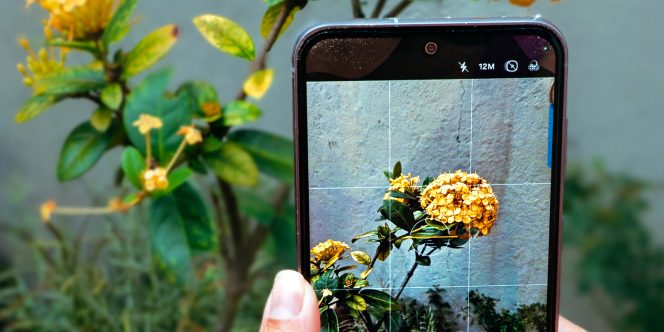 crédito: Diego Bachiega