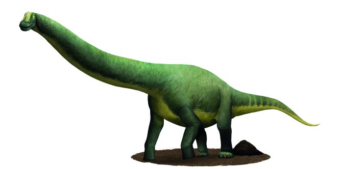 créd. Novo Guia Completo dos Dinossauros - Editora Peirópolis