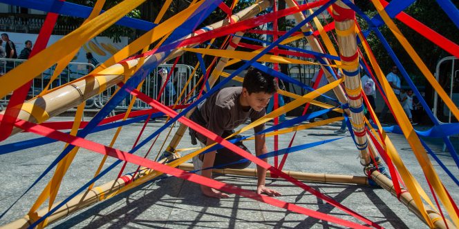 Brinquedos Naturalizados