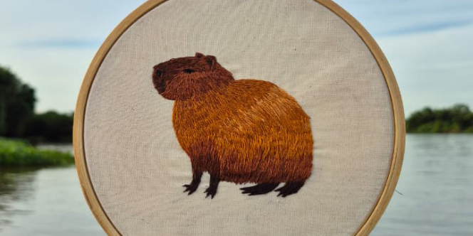 Minipintura de Agulha: Animais da Mata Atlântica - Foto: Jéssica Rampim