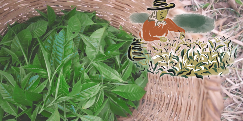 Imagem destacada sobre o post em questão.