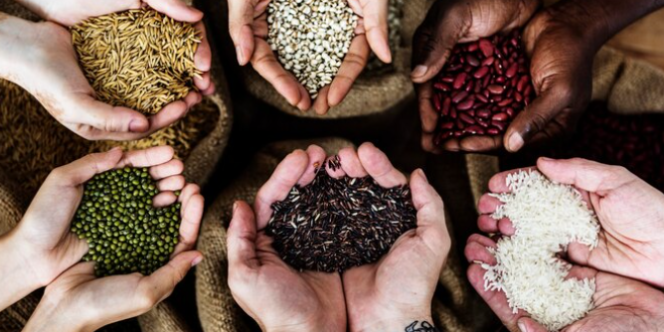 Economia Popular (Foto Divulgação)