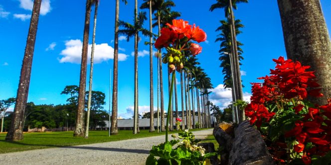 Foto: Claudio Vieira